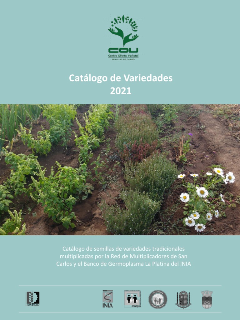 Catalogo de Semillas de Variedades Tradicionales 2021 | PDF | Tomate ...