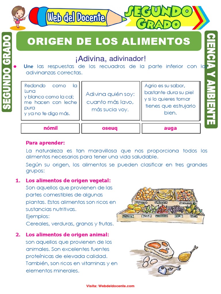 Alimentos para Segundo Grado de Primaria | PDF | Alimentos | Nutrientes