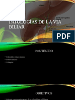 Patologia Biliar (Autoguardado)