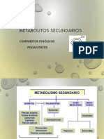 Clase 9 Metabolitos Compuestos Poliacetatos