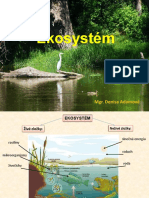Ekosystem