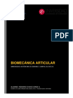 Biomecanica Articular