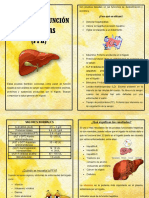 Pruebas de Función Hepáticas (PFH) : ¿Para Qué Se Utilizan?