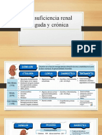 Insuficiencia Renal Aguda y Crónica