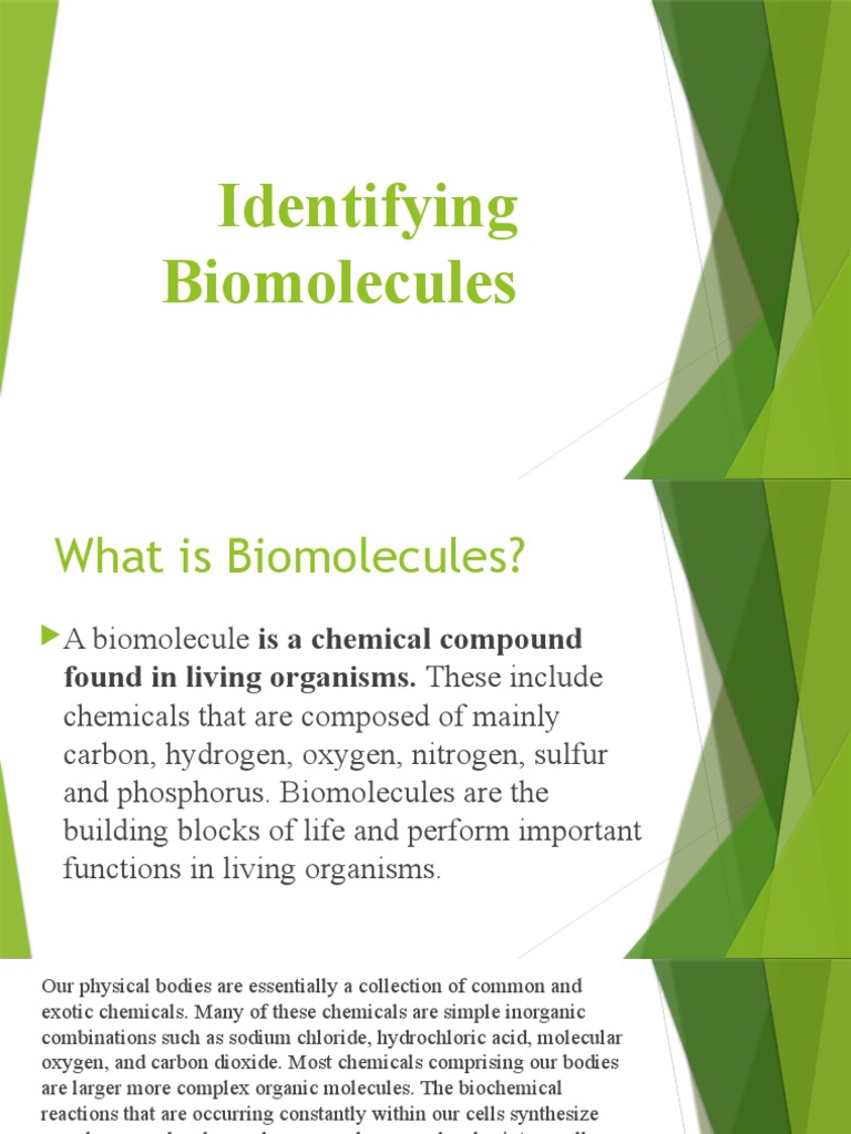 Identifying Biomolecules PDF