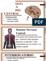 Sistema Nervioso Central-P.c