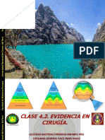 CS4.2. Evidencia en Cirugía