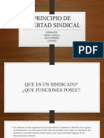 Principio de Libertad Sindical