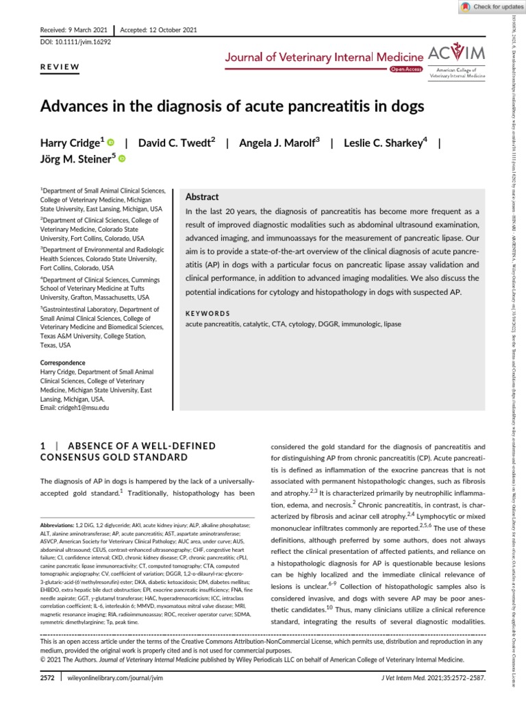 Diagnosis And Management Of Canine Acute Pancreatitis – IYDRNT