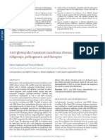 Anti-Glomerular Basement Membrane Disease An Update On Subgroups, Pathogenesis and Therapies