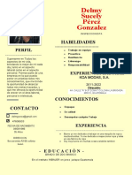 Nueva Plantilla Curriculum Vitae Gris Foto Lado