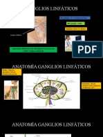 Imagenologia Caracteristicas Benignas y Malignas Ganglios