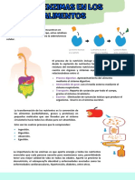 31 y 32 SEMANA (Importancia de Las Enzimas en Los Alimentos )
