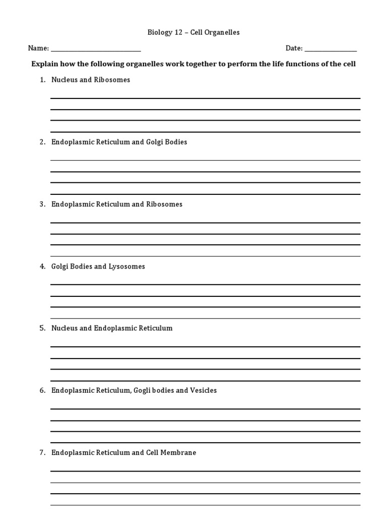 Cell Organelles | PDF | Endoplasmic Reticulum | Biophysics