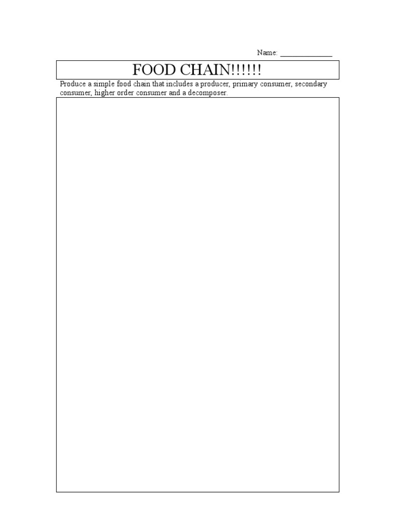 Food Chain 8 | PDF | Wellness