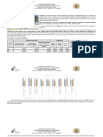 Programa Analitico