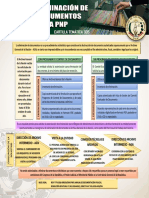 Cartilla 305 Eliminación de Documentos en La PNP