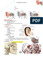 Anatomie de L'oreille
