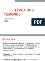 Imunologia dos tumores (4)