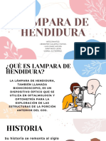 Lampara de Hendidura Clinca