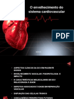 O Envelhecimento Do Sistema Cardiovascular