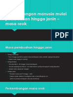 Masa Pembuahan Hingga Janin