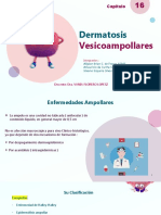 Dermatosis Vesicoampollares