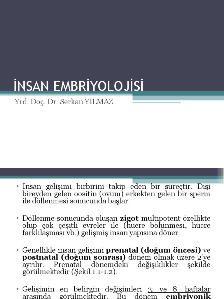 Embriyoloji 1. Hafta | PDF