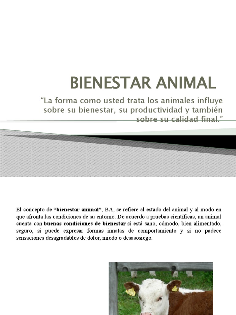 Bienestar Animal: Claves y 5 Libertades | PDF | Bienestar de los ...
