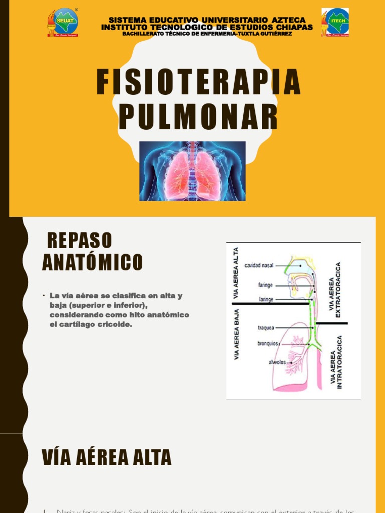 Fisioterapia Pulmonar PDF Pulmón Sistema respiratorio