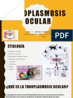 Toxoplasmosis 