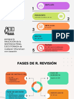 9.7 Recurso de Revisión Procesal Penal