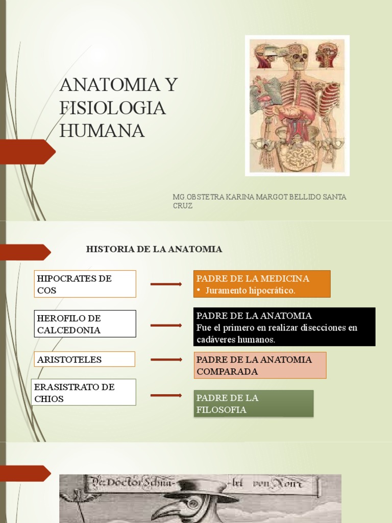Anatomia Y Fisiologia Humana Pdf