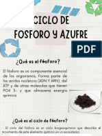 Ciclo de Fósforo y Azufre