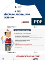 Extincion de Vinculo Laboral