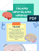 Talamo, Hipotalamo, Hipófisis