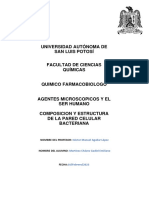 Investigacion Composicion y Estructura de Pared Bacteriana