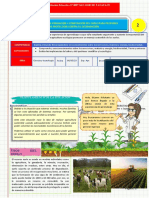 Ficha Actividad 2° 2023