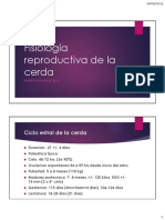 Fisiología Reproductiva de La Cerda