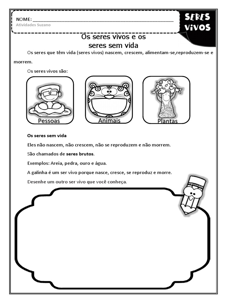 Ciclo de Vida dos Seres Vivos 2º Ano | PDF