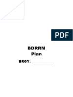 BDRRM PLAN For Template