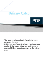 Urinary Calculi A
