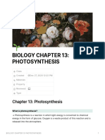 Biology Chapter 13 Photosynthesis