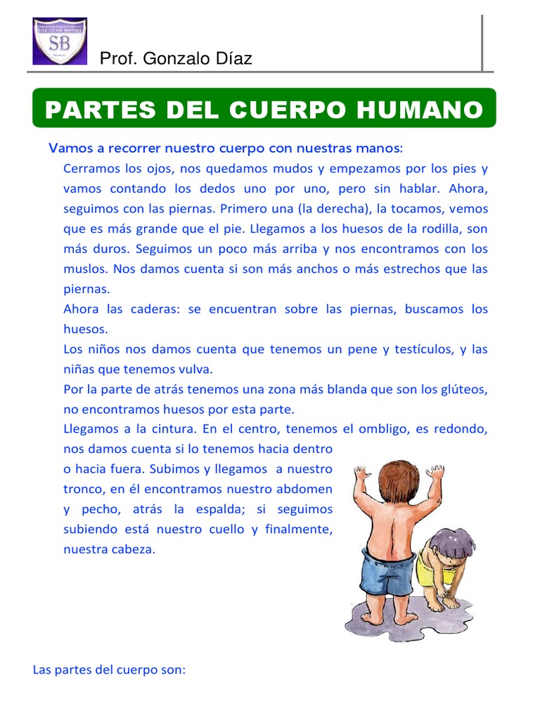 Partes Del Cuerpo Humano | PDF
