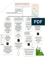 Metabolitos Secundarios