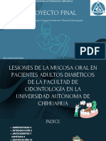 Lesiones en La Mucosa Oral en PX Diabeticos