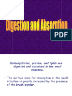 Digestion Absorption2022