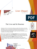 Liver (Hepar)