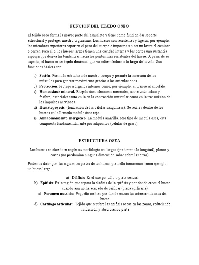Estructura Ósea PDF