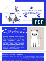 Radiologi Abdomen Pada Kucing - Baru